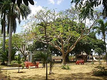 Area verde